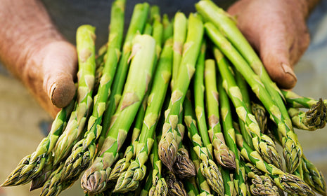 Our 5 Favorite Italian Spring Soups