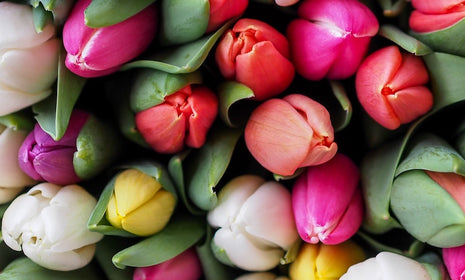 Italian Easter Appetizers