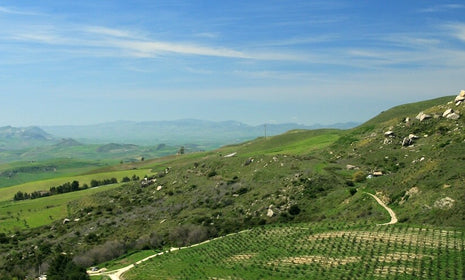 Listening to the Land