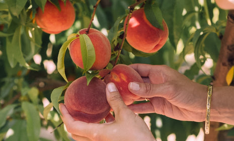 Stone Fruit and Prosciutto Salad