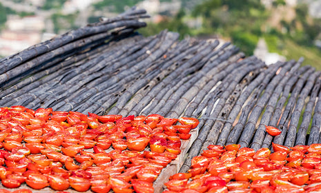 Bona Furtuna - Best sun-dried tomato pesto spaghetti