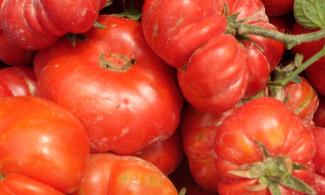 Olive Oil Confit: Sweet Tomatoes