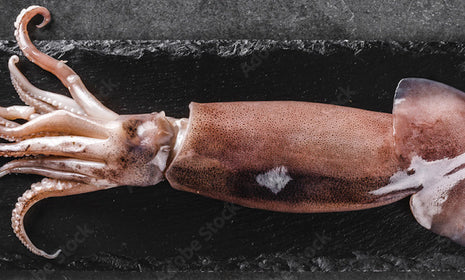 Grilled Squid Skewers