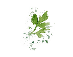 gree leaves