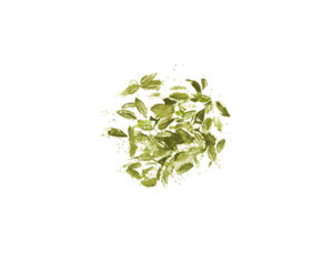 gree leaves
