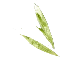 gree leaves