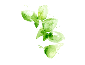 gree leaves