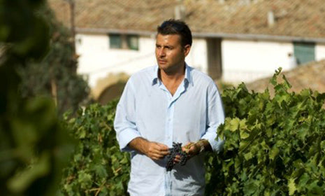 Producer Spotlight: Feudo Montini Winery