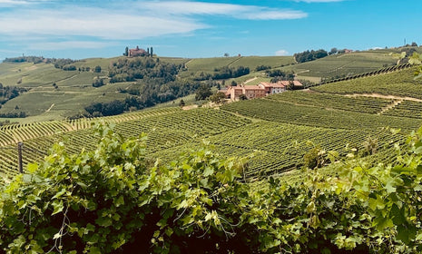 Piedmont: A Guide to Italy's Mountain-Framed Wine Region