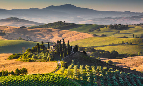 Tuscany: Wines from the Renaissance