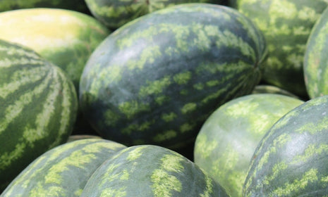 Sicilian Watermelon Pudding