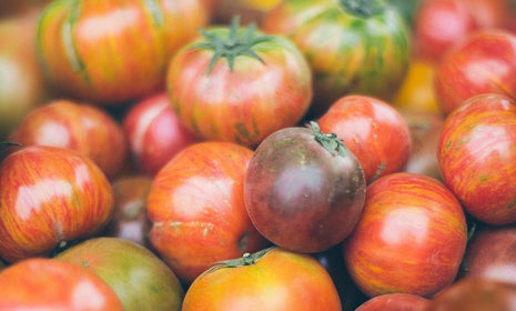 Bona Furtuna - Summer Tomato Recipes