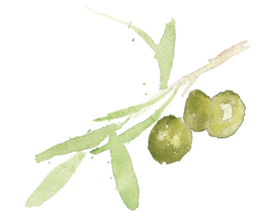 Green Olive Tapenade - Buy Sicilian Green Olive Tapenade – Bona