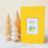Bona Furtuna Il Vivace Italian olive oil and seasoning gift set for holidays