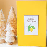 Bona Furtuna Il Vivace Italian olive oil and seasoning gift set for holidays